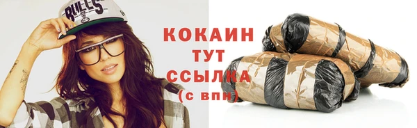 стаф Пересвет