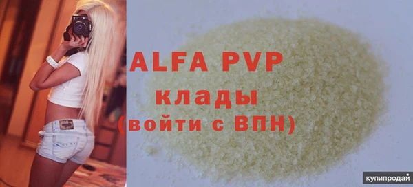 стаф Пересвет