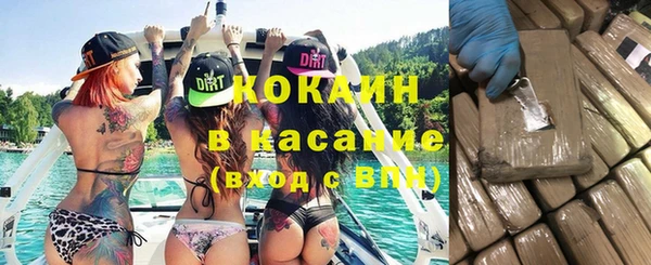 стаф Пересвет