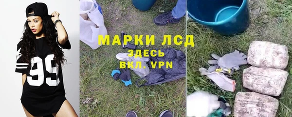 стаф Пересвет