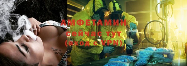 стаф Пересвет