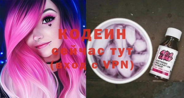 дживик Переславль-Залесский